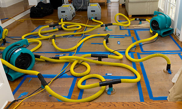 Professional Sewage Cleanup technician working in Sequim, WA